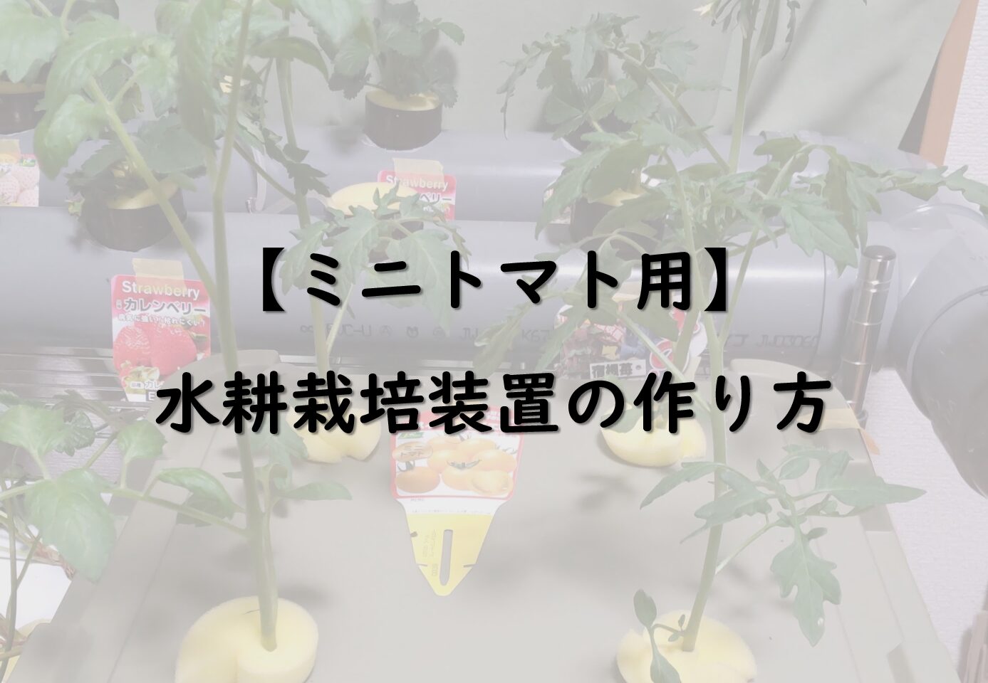 ミニトマト用水耕栽培装置のつくり方 なまず屋の気になるブログ