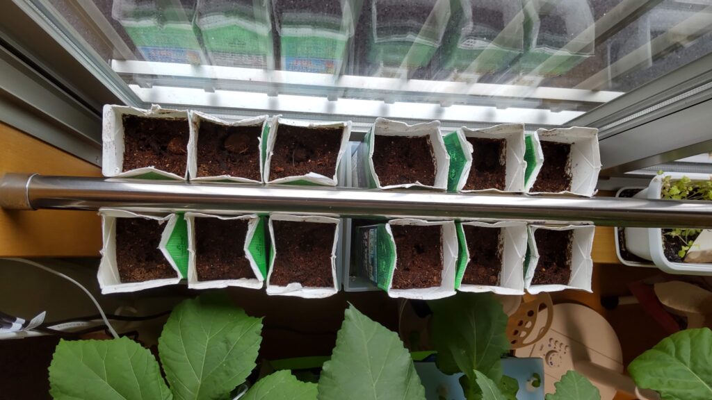 にんじんの種を植えた画像です。