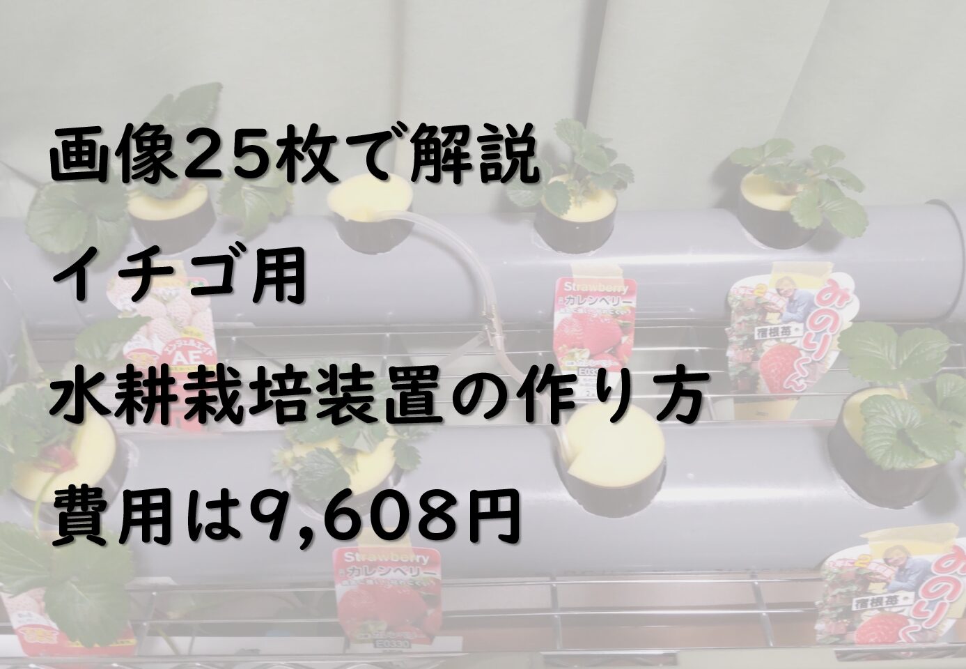 画像25枚で解説 イチゴ用水耕栽培装置の作り方 なまず屋の気になるブログ